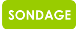 Sondage Lead generation