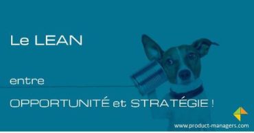 Lean-start-up-entre-opportunite-et-strategie-2